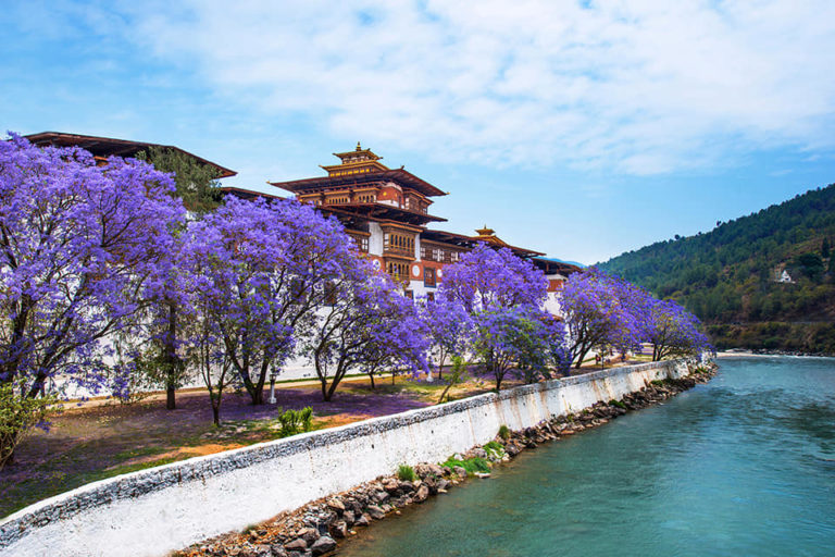 Spring - Best time to visit Bhutan