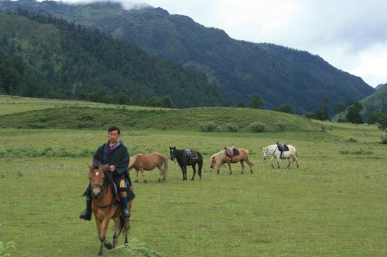 Galloping in Bhutan